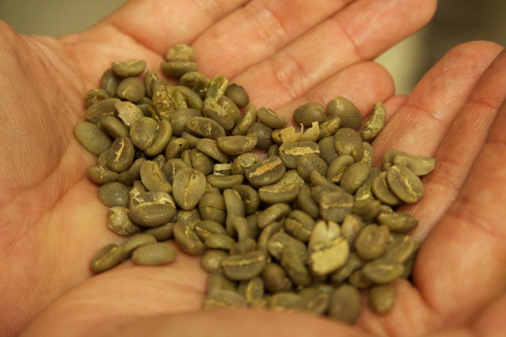 cafe verde en grano para adelgazar