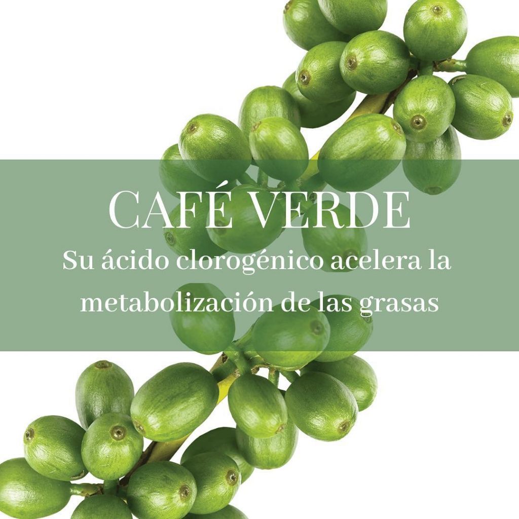 cafe verde en herbolarios