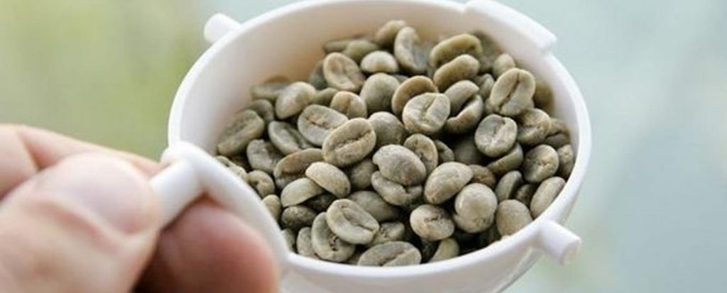 cómo preparar café verde